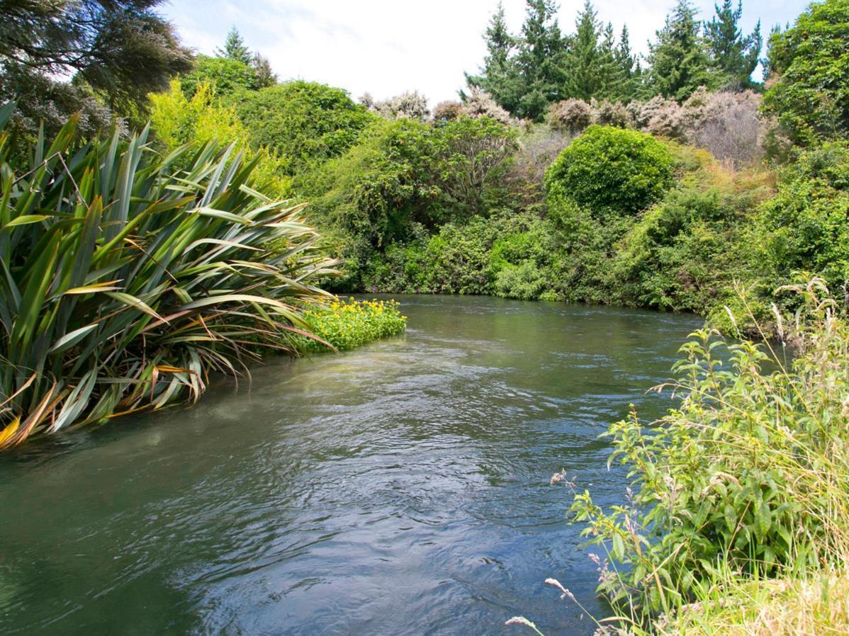 Bellbird Cottage - Lake Taupo Bach Waitahanui Zewnętrze zdjęcie