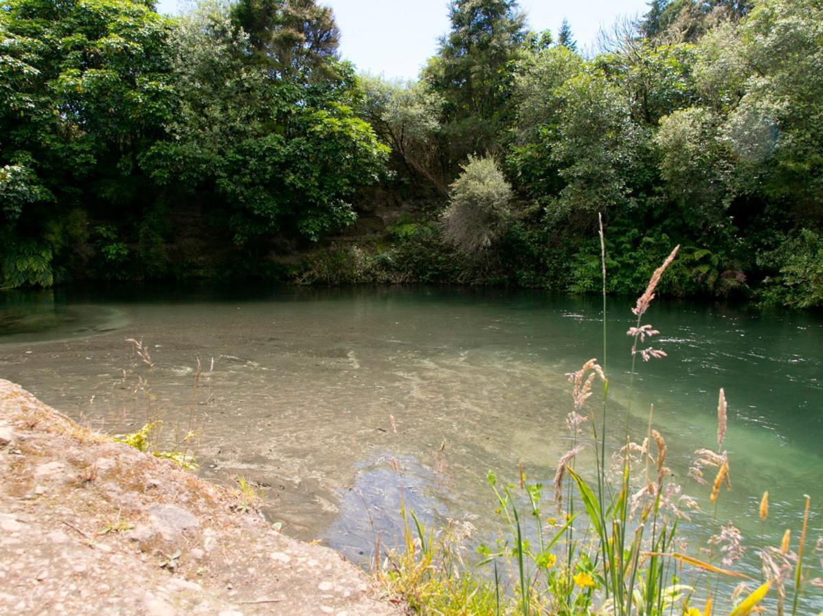 Bellbird Cottage - Lake Taupo Bach Waitahanui Zewnętrze zdjęcie