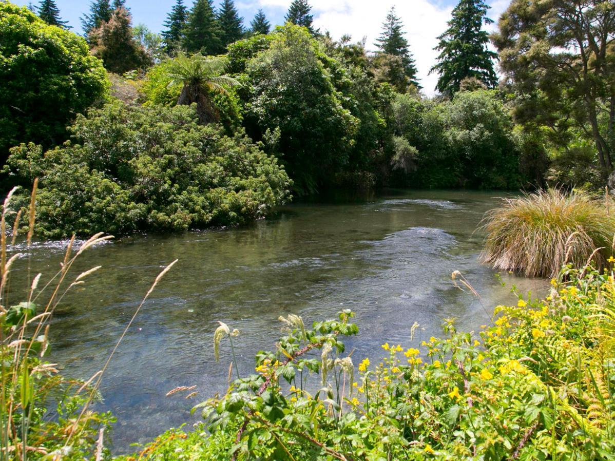 Bellbird Cottage - Lake Taupo Bach Waitahanui Zewnętrze zdjęcie
